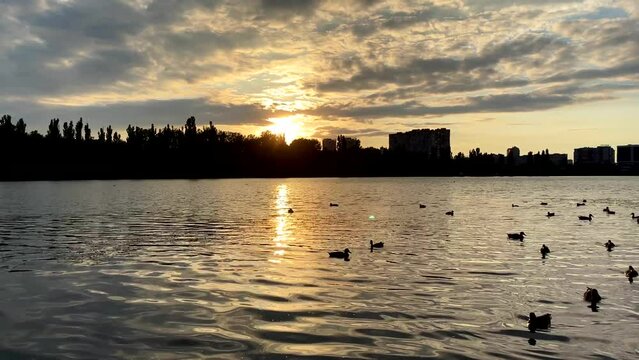Krasnodar. Staraya Kuban Park at sunset