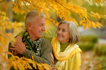 Elderly couple dance in the park in autumn.