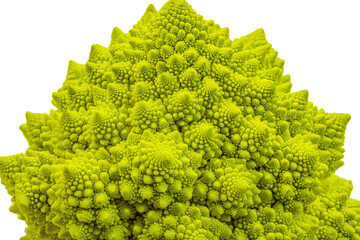 romanesco broccoli roman cauliflower inflorescence