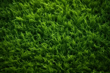 Foto op Plexiglas AI illustration of vibrant green grass in a lush, verdant landscape © Wirestock