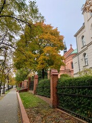 autumn in the city