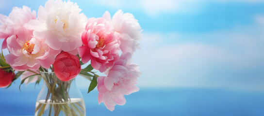 Selective focus on a bouquet of fresh tender white, pink, and red peonies in a glass vase against a pastel white and blue background
