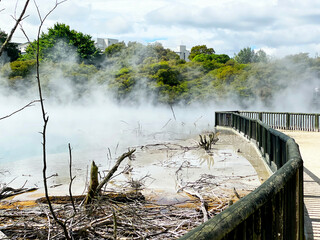 Kuirau Park located in geothermal area in Rotorua,
New Zealand