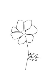 Cosmos flowers is hand drawn in continuous line art drawing style.  Printable art.