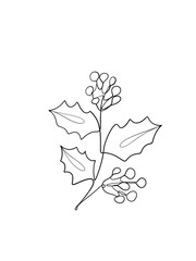 Holly flowers is hand drawn in continuous line art drawing style.  Printable art.