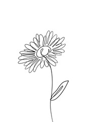 Daisy flowers is hand drawn in continuous line art drawing style.  Printable art.