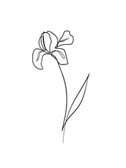 Iris flowers is hand drawn in continuous line art drawing style.  Printable art.