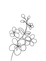 Hawthorn flowers is hand drawn in continuous line art drawing style.  Printable art.