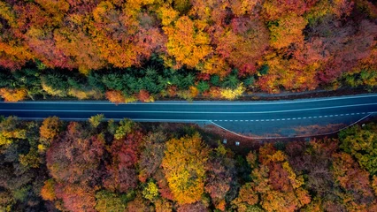 Fotobehang Chocoladebruin Drone autum landscape road  © Pop
