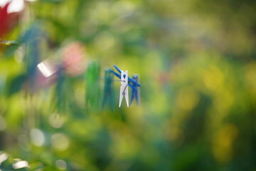Zbliżenie na spinacze, klamerki do prania wiszące na sznurze w ogrodzie w słoneczny letni dzień - obrazy, fototapety, plakaty