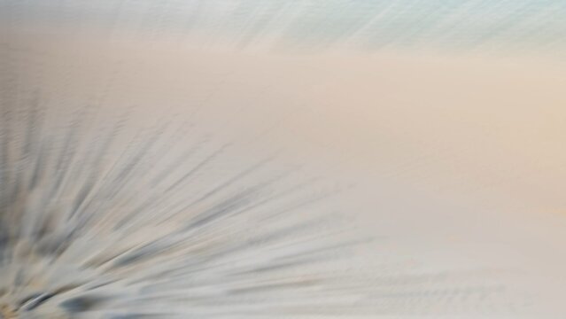 Clean In and Out Bouncing Transition pack (15 transitions)