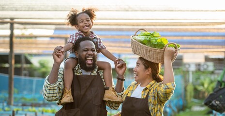 Happy farmer parents dad father with daughter child on piggyback walking fun with mum in garden greenhouse. Black skin dad carry neck riding daughter in vegetable greenhouse garden in light sunset