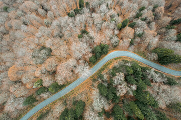 Obraz na płótnie Canvas Landscape Drone footage taken in Autumn