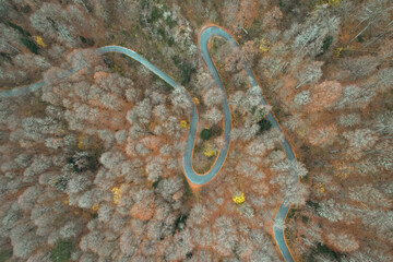 Landscape Drone footage taken in Autumn