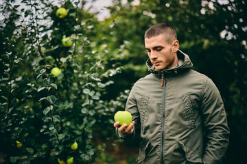 A man standing and holding an apple quince, being in the orchard.