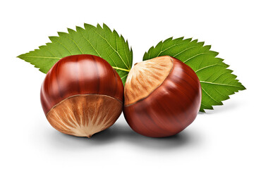 Hazelnuts isolated. Cut out on transparent