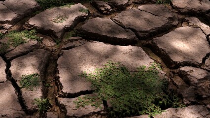 A dying plant in arid soil, the concept of drought. climate change and global warming. Environment, nature, earth. impact on agriculture, lack of water, lack of fresh water resources. 3d illustration