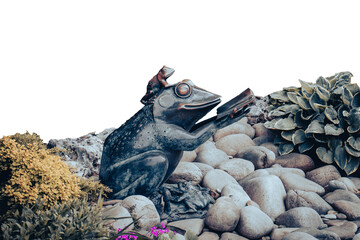 Bronze sculpture of a big frog reading a book, Kharkiv Central Park.