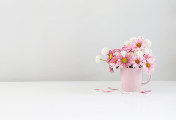 white and pink  chrysanthemums in pink cup on white background