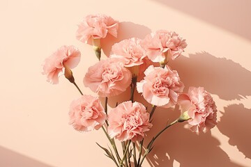 Pink carnation flowers bouquet on tan background