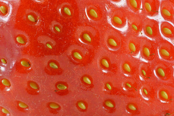 The garden strawberry is a widely grown hybrid species of the genus Fragaria, collectively known as the strawberries.
