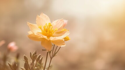  a yellow flower with a blurry background is seen here.  generative ai