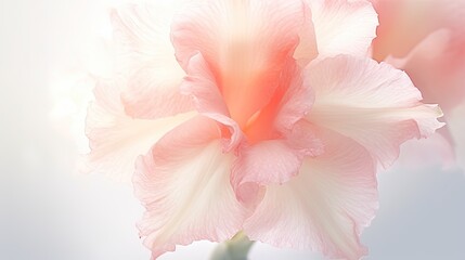 Fototapeta na wymiar a pink and white flower with a blurry back ground. generative ai