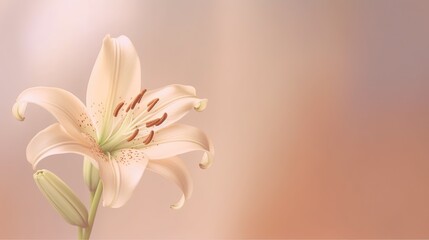  a white flower is in a vase on a pink background.  generative ai