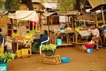 Life in Africa. scene from a local african village market