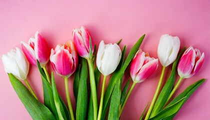 Fototapeta premium bouquet of tulips