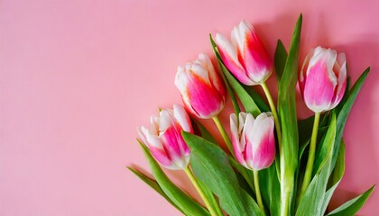 Fototapeta premium bouquet of tulips for Valentine's Day