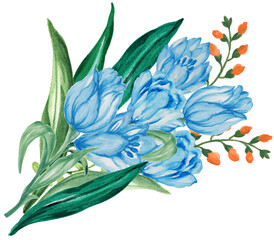 Tulip Flower Bouquet Wreath label border banner watercolor illustation isolated elements