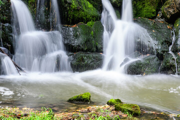 Obraz premium waterfall in the forest