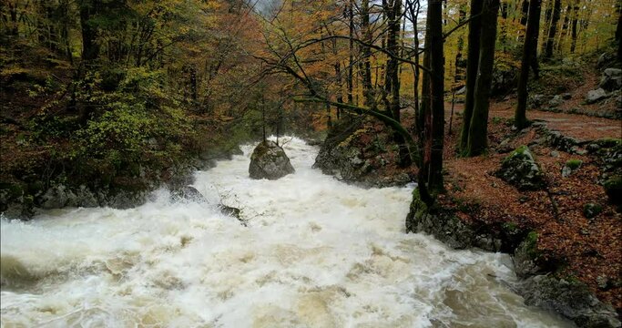 Alpine Rush Aerial Autumn River Descent