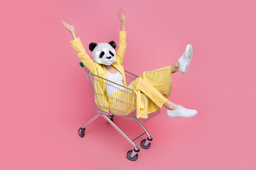 Full size portrait of excited funky 3d panda mask girl sit inside market trolley raise hands...