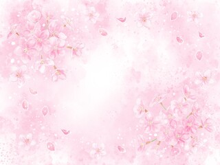 満開の桜の花の背景イラスト
