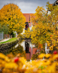Obraz premium Herbst am Fluss