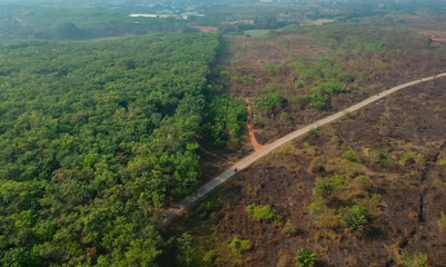 Drone view of forest fire scars. Tropical green forest in asia. Aerial view from of rubber...