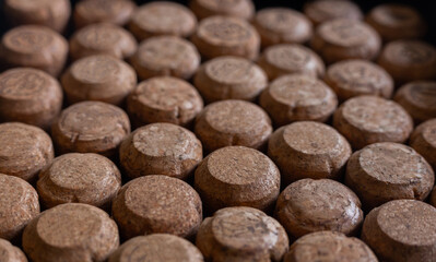 corks from wine and champagne in the same plane