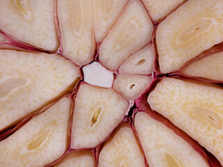 macro photo of a cut of a head of garlic closeup