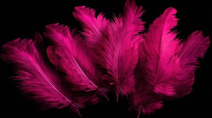  a bunch of pink feathers on a black background with a black background.  generative ai