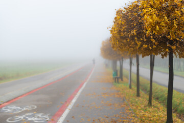 ścieżka rowerowa w jesiennej mgle - obrazy, fototapety, plakaty