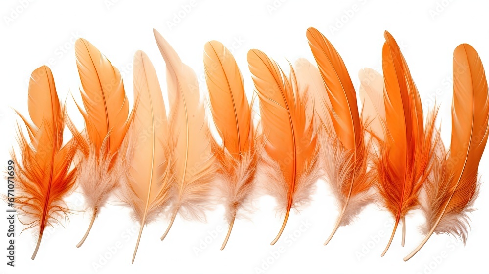 Aufkleber a row of orange feathers on a white background with a white background. generative ai