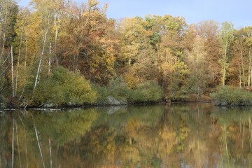 Fototapeta premium Forest Lake