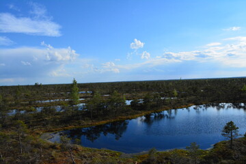 Fototapeta premium Kemeri national park