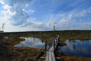 Fototapeta premium Kemeri national park