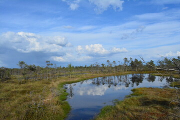 Kemeri national park