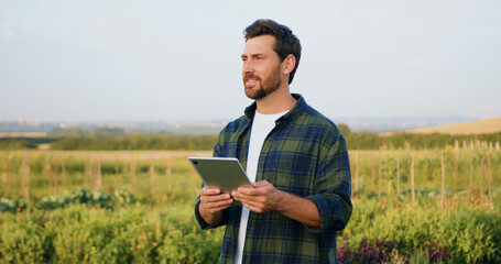 Farmer business man working with computer tablet evaluates green wheat sprouts in field at sunset. Technology of modern agriculture, farmer working on field with digital tablet