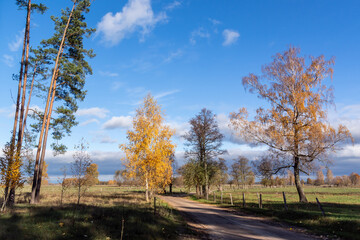 Słoneczny jesienny dzień z kolorowymi dzewami, Podlasie, Polska