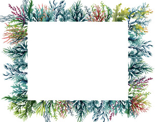 Seaweed underwater plants. Green Laminaria watercolor illustartion. Nautical frame